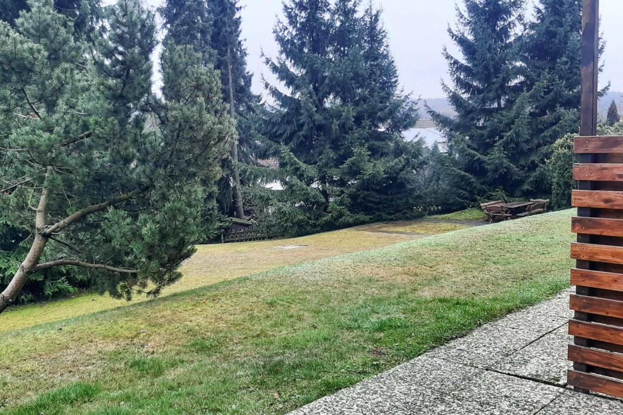 Apartment Braunlage Extérieur photo