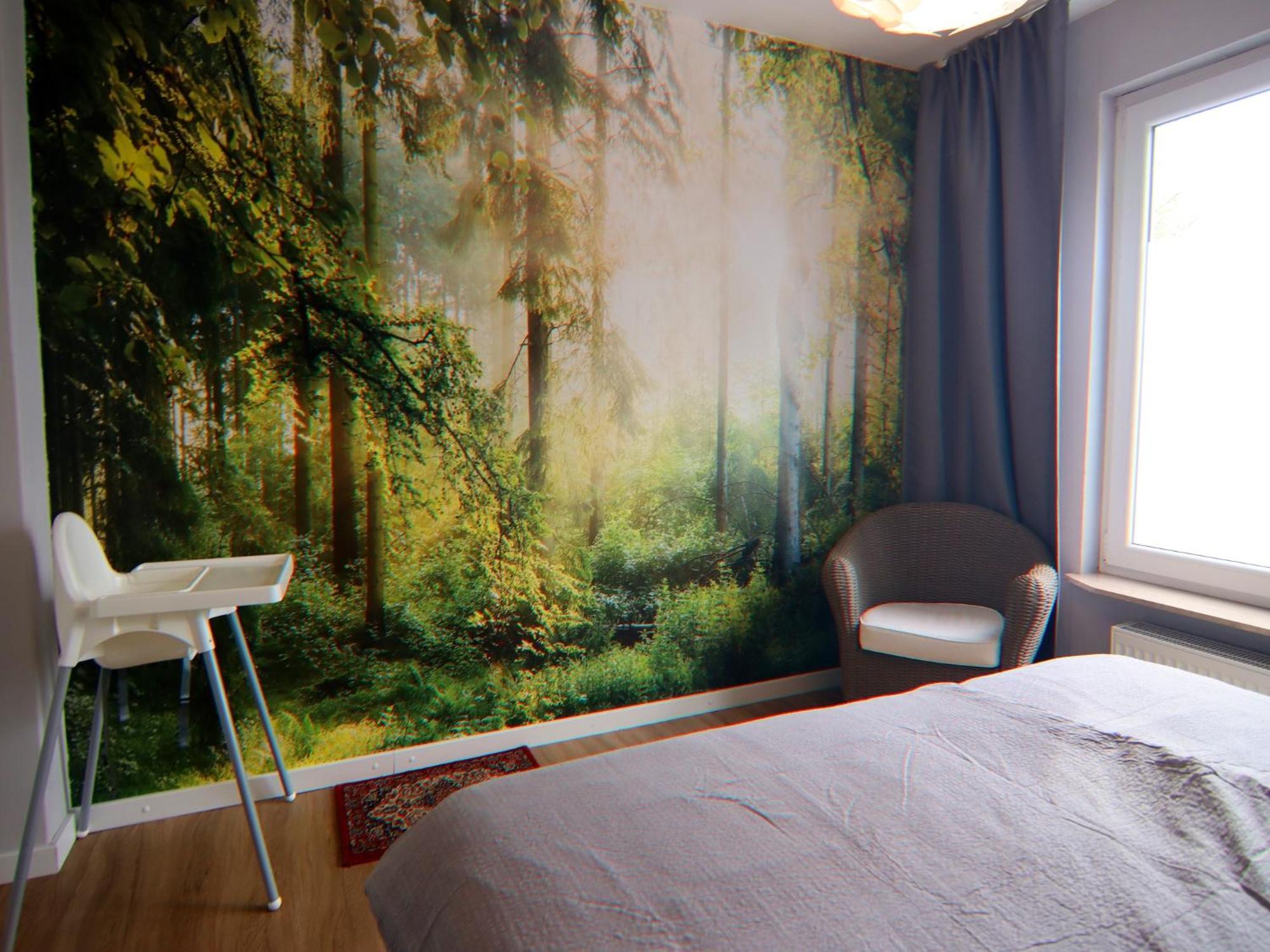 Apartment Braunlage Extérieur photo