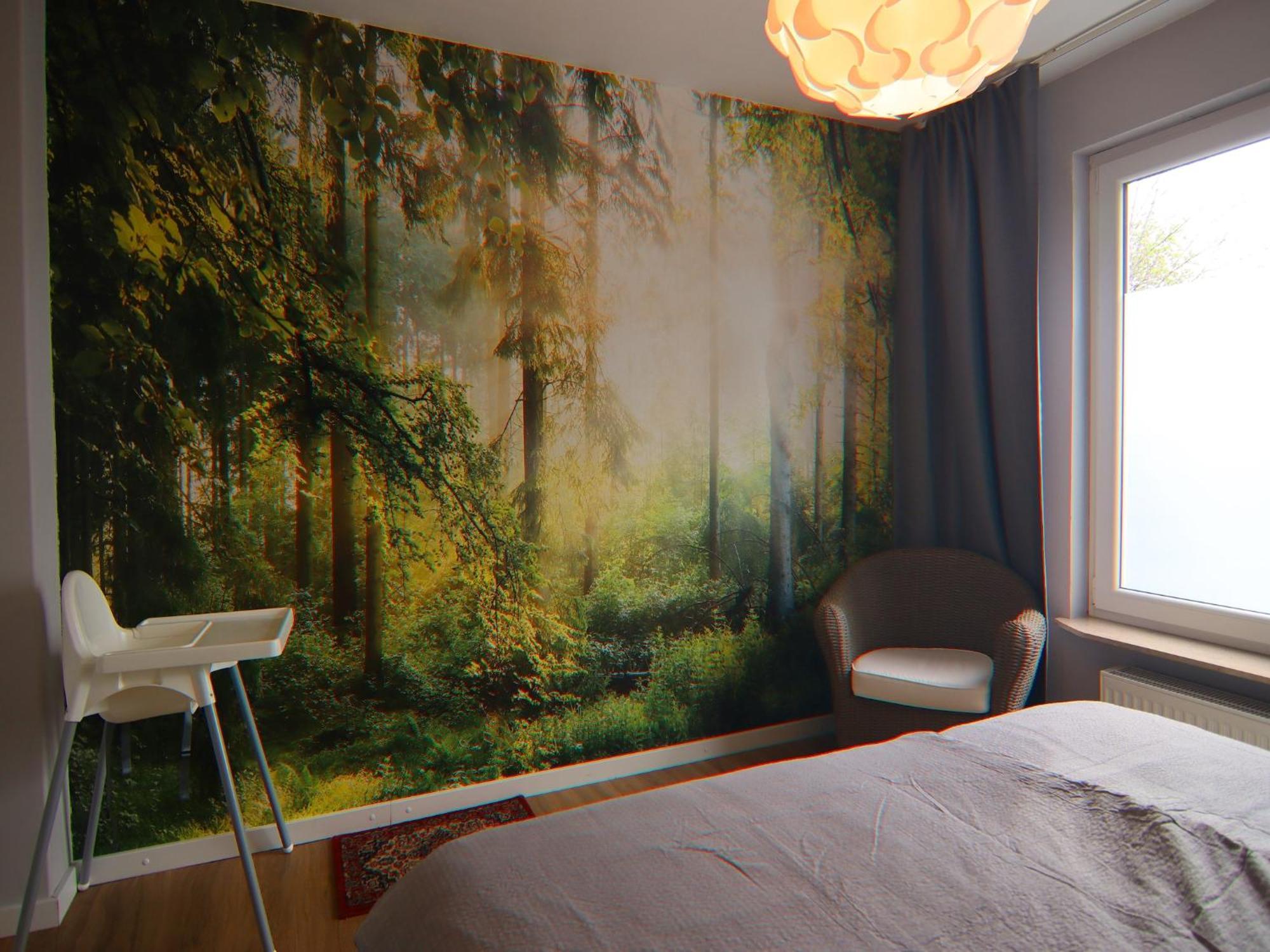Apartment Braunlage Extérieur photo